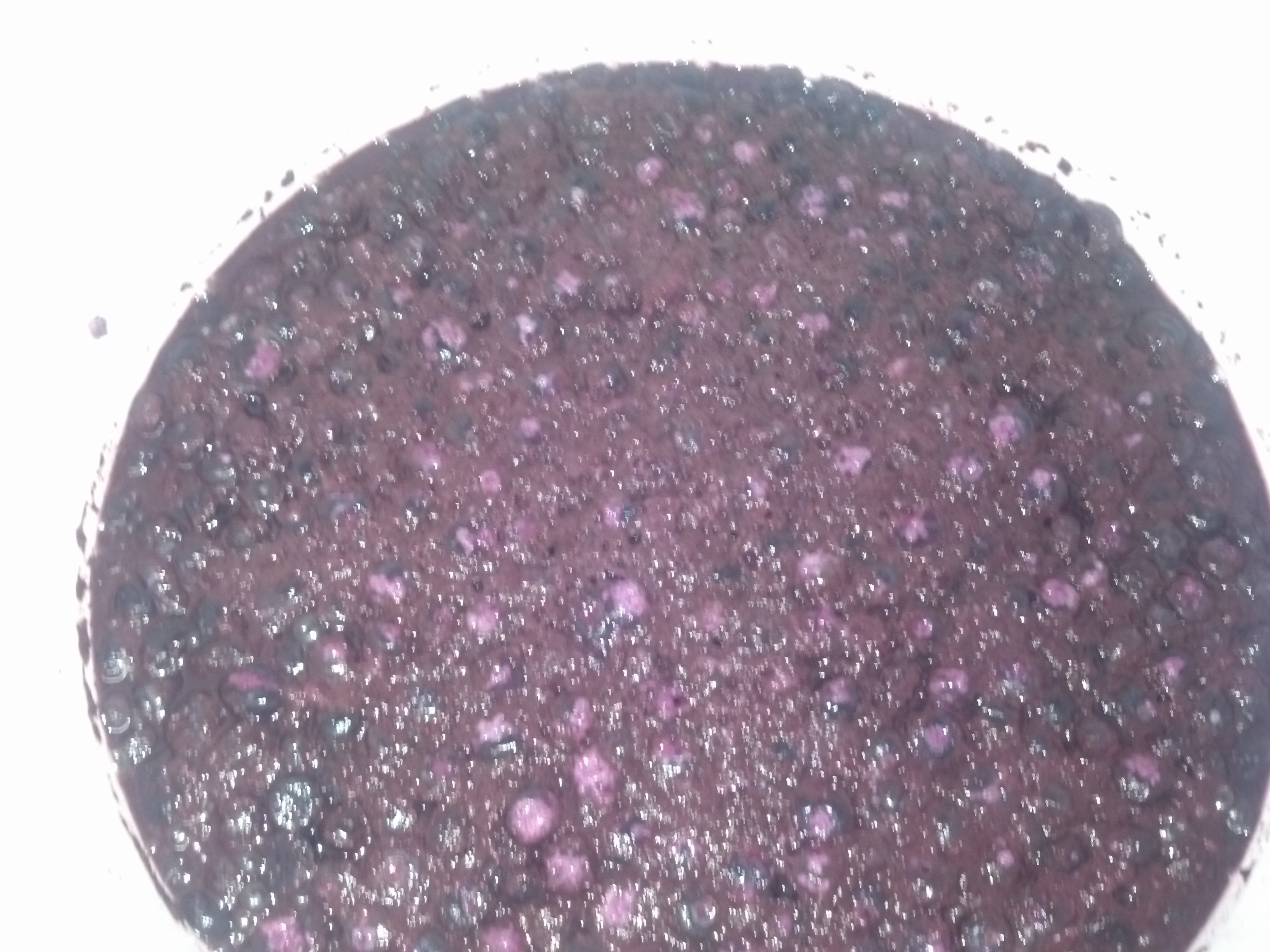 2013 Blueberry
